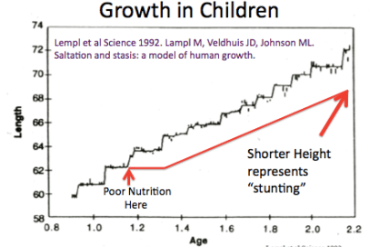 How Stunted Growth Occurs