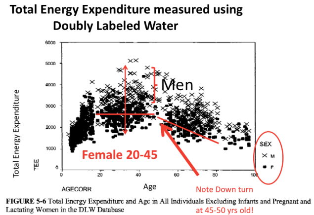 Pic 5 Total Energy Expenditure