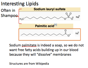 Palmitate and Sodium Lauryl Sulfate