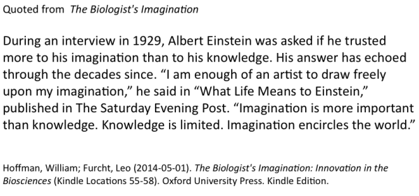 Einstein Quote Jan 20 2015