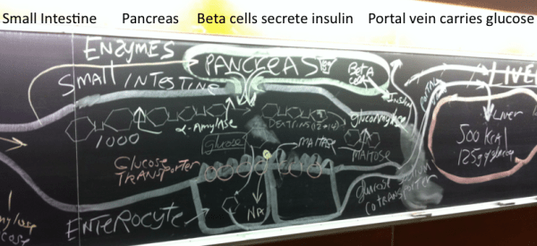 Bd presentation mid 2-3-2015