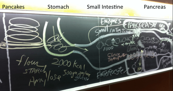 Board Presentation1Labeled  - 2-3-2015
