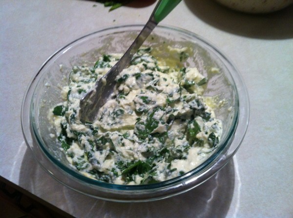 Whole Wheat Lasagna 2