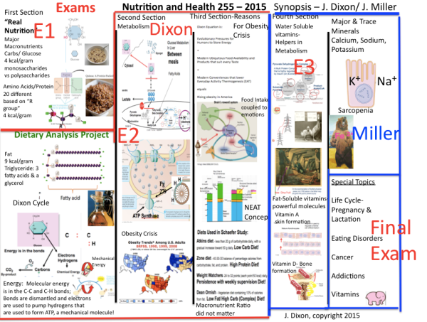 Class synopsis for 255 spring 2015