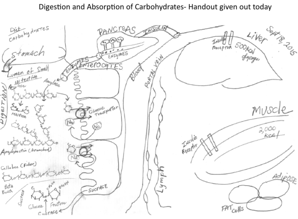 Screen shot 2015-09-18 at 7.20.22 PM