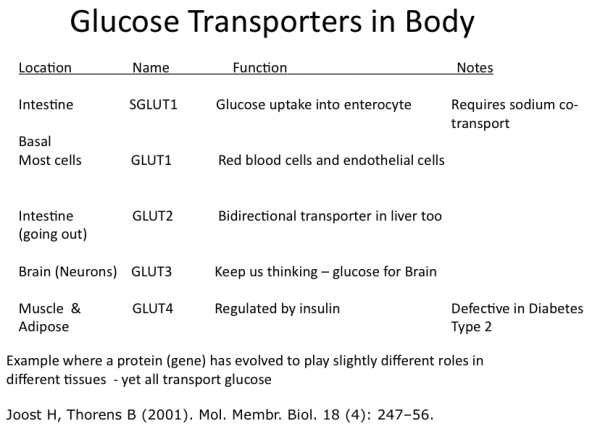 Screen shot 2015-09-21 at 6.00.53 PM