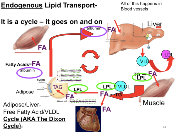 Screen shot 2015-10-08 at 9.25.54 PM