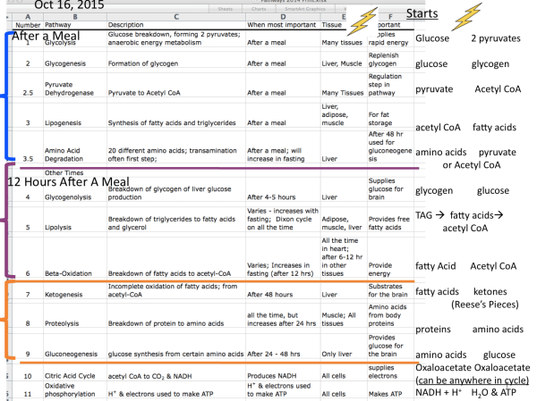 Screen Shot 2015-10-29 at 12.30.18 PM