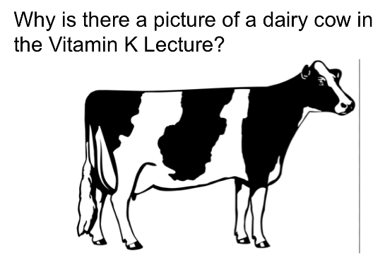 Screen Shot 2015-11-08 at 4.02.18 PM