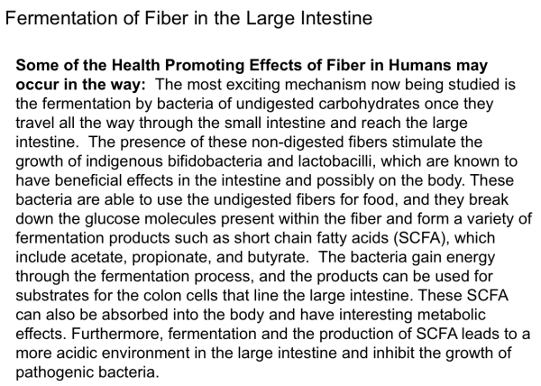 screen-shot-2017-02-06-at-7-42-10-pm