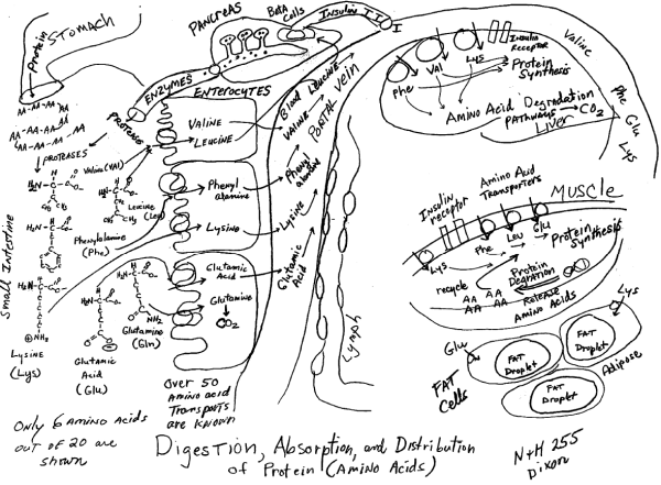 screen-shot-2017-02-07-at-11-19-53-am