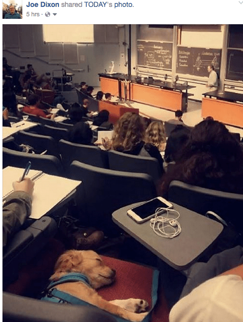 screen-shot-2017-02-12-at-6-27-31-pm