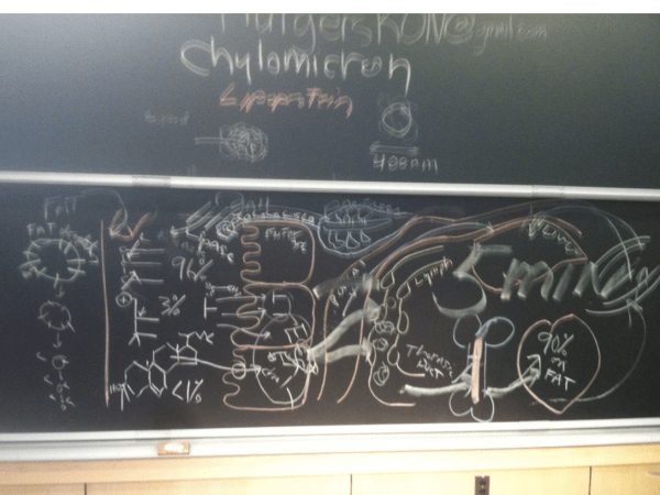 screen-shot-2017-02-23-at-7-49-44-am