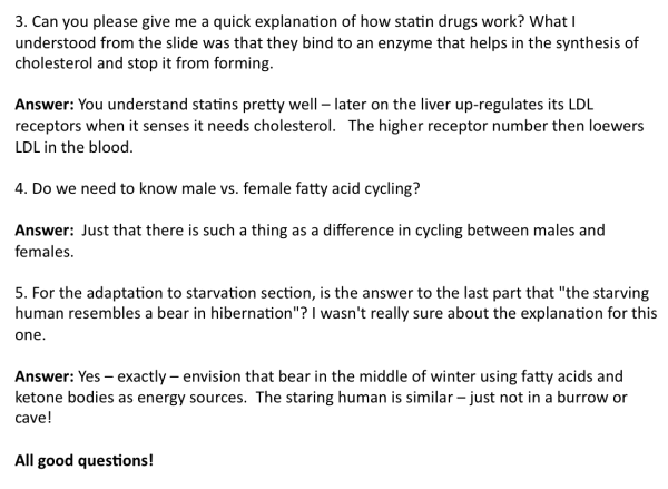 Screen Shot 2017-03-09 at 5.48.06 AM