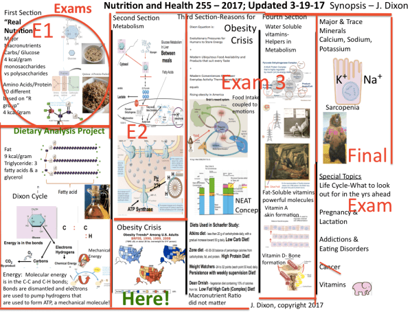 Screen Shot 2017-03-20 at 10.26.05 PM