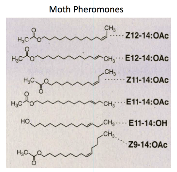 Screen Shot 2017-03-23 at 7.34.58 AM