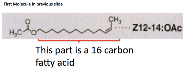 Screen Shot 2017-03-23 at 7.35.19 AM