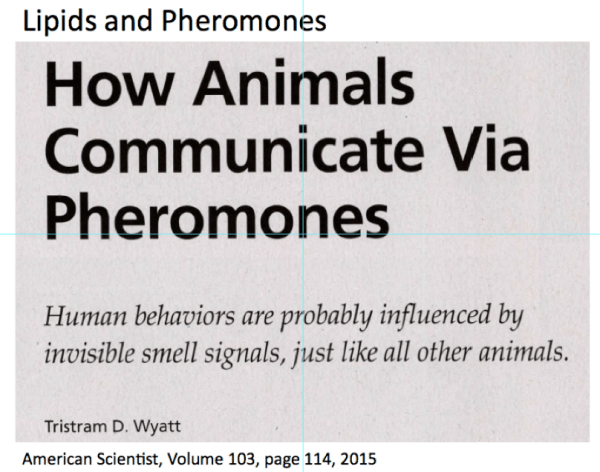 Screen Shot 2017-03-23 at 7.43.35 AM