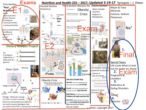 Screen Shot 2017-04-17 at 7.08.51 PM