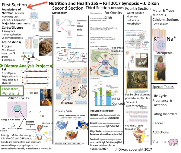 Screen Shot 2017-09-05 at 9.28.12 AM