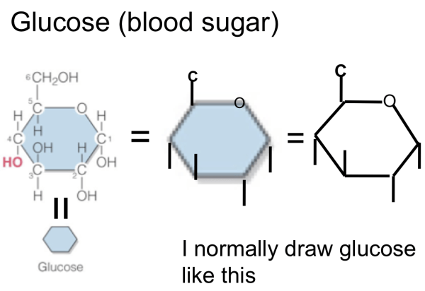 Screen Shot 2017-09-19 at 11.44.44 AM