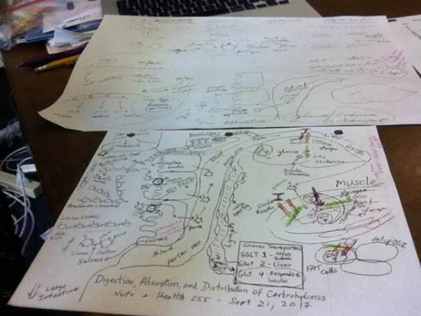 Studying for Carbs 9-28-17