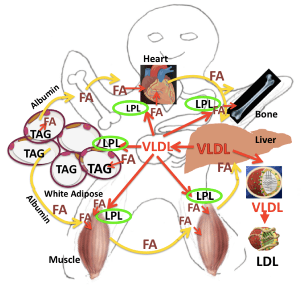 Screen Shot 2017-10-10 at 12.06.31 AM