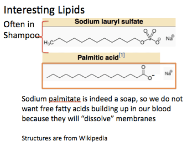 Screen Shot 2017-10-12 at 10.58.13 AM