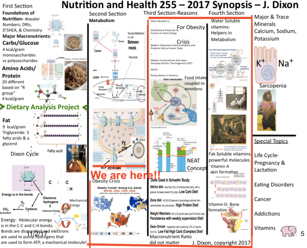 Screen Shot 2017-11-02 at 12.07.32 PM