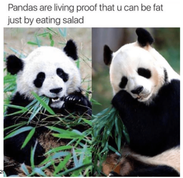 Screen Shot 2018-01-30 at 11.28.57 AM