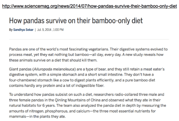 Screen Shot 2018-01-30 at 11.29.16 AM