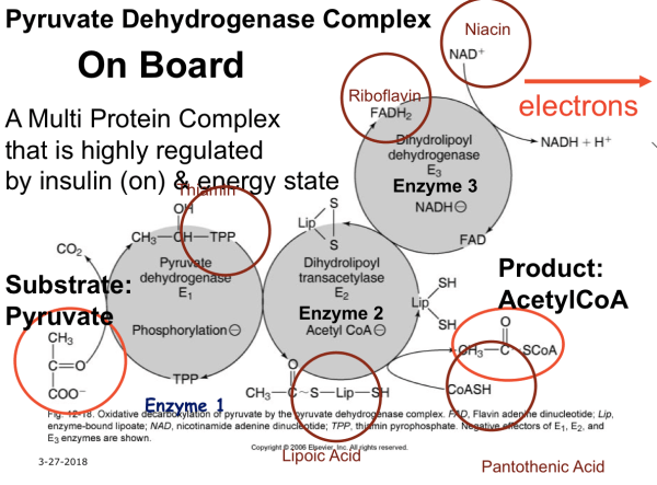 Screen Shot 2018-03-30 at 9.51.02 AM