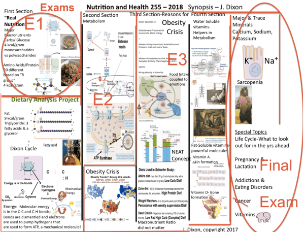 Screen Shot 2018-04-26 at 3.45.15 PM