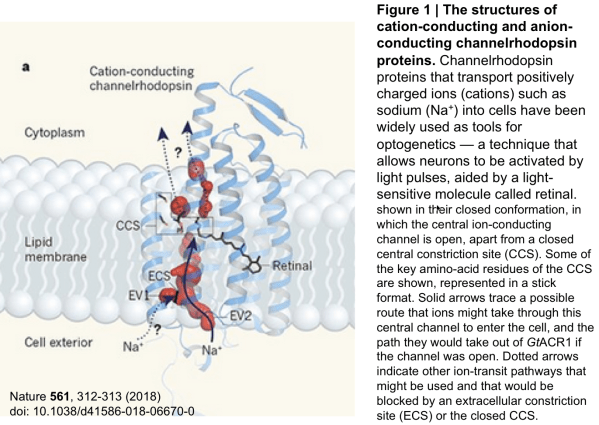 Screen Shot 2018-09-26 at 1.22.18 PM