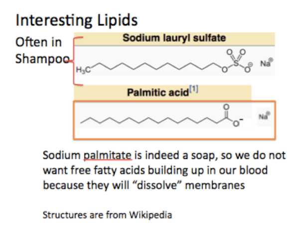 Screen Shot 2018-10-10 at 11.40.09 AM