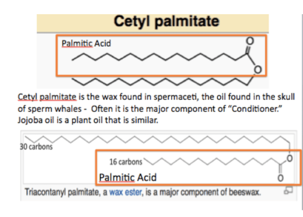 Screen Shot 2018-10-10 at 11.40.48 AM