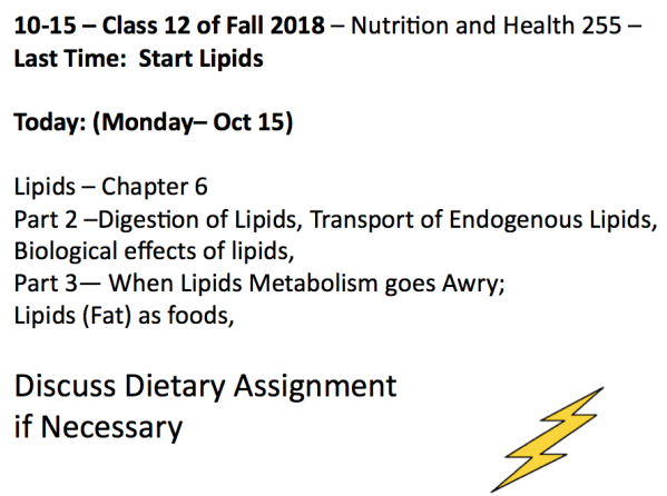 Screen Shot 2018-10-15 at 12.08.23 PM