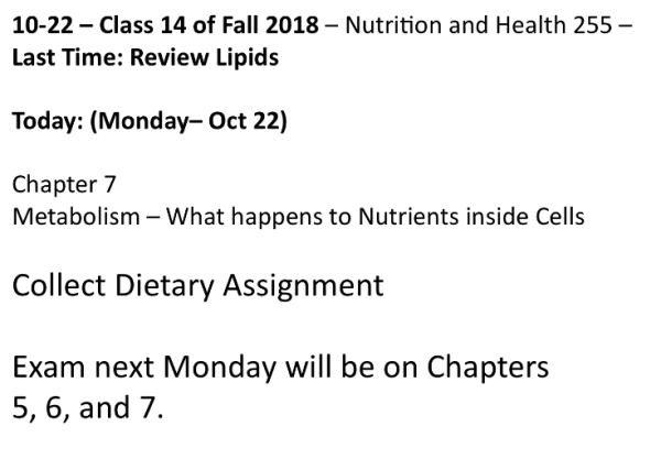 Screen Shot 2018-10-22 at 11.46.04 AM