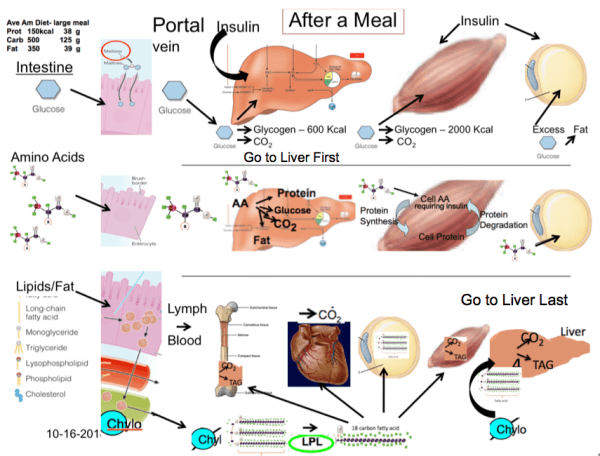 Screen Shot 2018-10-22 at 11.48.33 AM