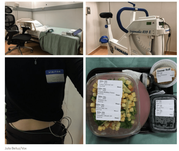 Screen Shot 2018-10-31 at 1.00.55 PM.png