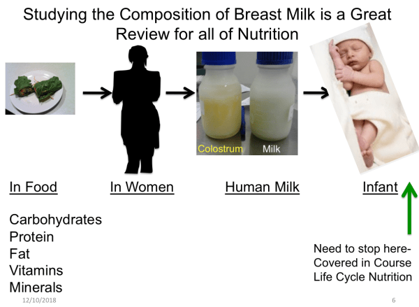 Screen Shot 2018-12-10 at 9.06.43 AM