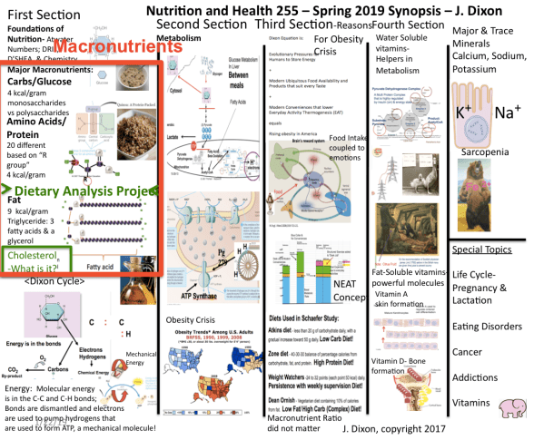 screen shot 2019-01-25 at 8.06.33 am