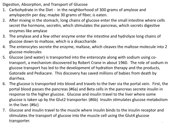 Screen Shot 2019-02-12 at 3.47.50 PM