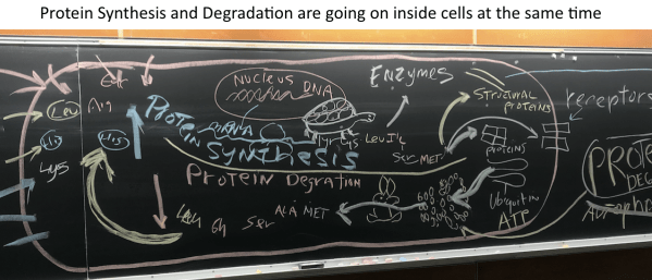 Screen Shot 2019-02-28 at 7.16.40 PM