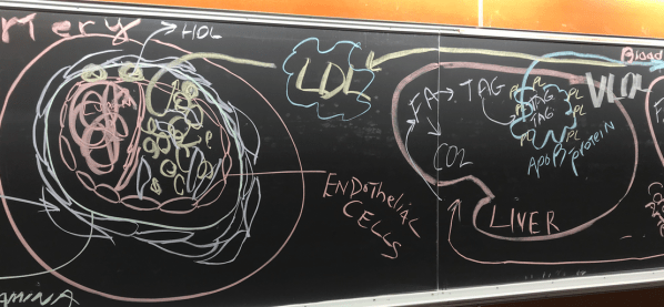 Screen Shot 2019-03-12 at 11.16.43 AM