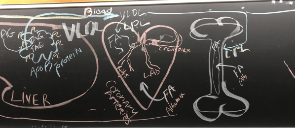 Screen Shot 2019-03-12 at 11.17.58 AM