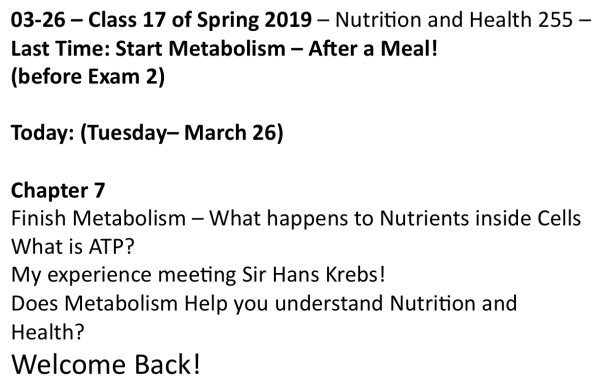 Screen Shot 2019-03-26 at 9.10.29 AM