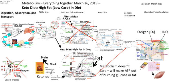 Screen Shot 2019-03-26 at 9.16.12 AM