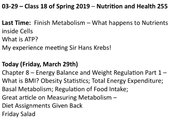 Screen Shot 2019-03-28 at 7.01.51 PM