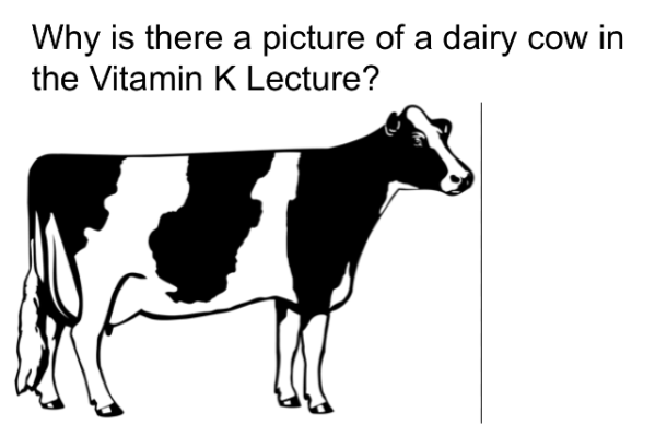 Screen Shot 2019-04-12 at 10.42.49 AM